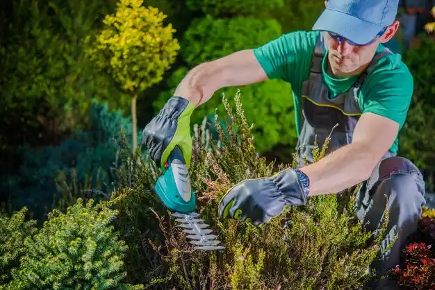 landscaping services Rawson